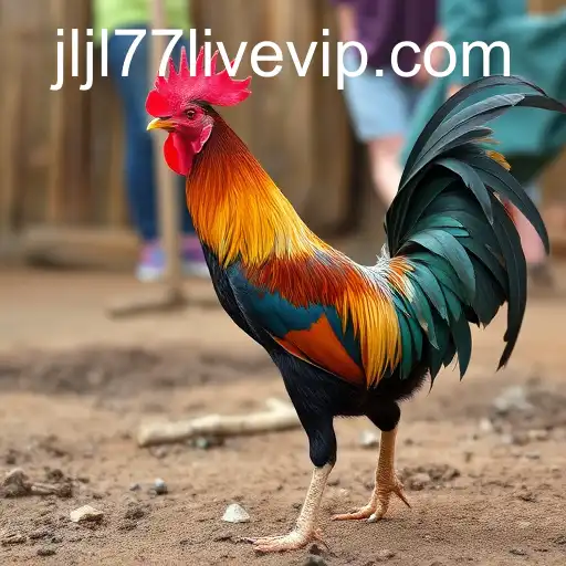 Exploring Sabong Games with jljl77 Live